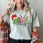 Mama Claus, Santa, Plaid, Leopard Print, Christmas, Comfort Colors, Tshirt