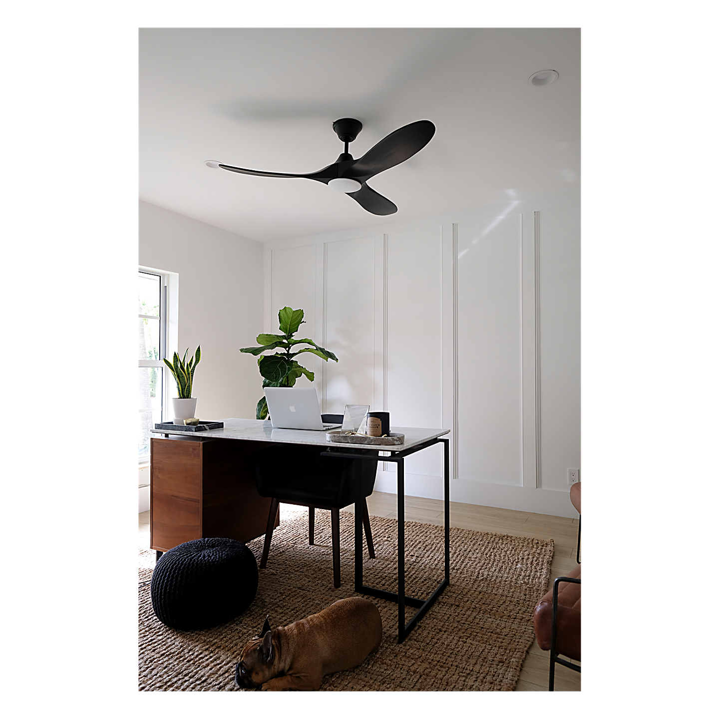 Maverick 52" LED Ceiling Fan