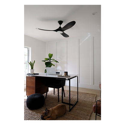 Maverick 52" LED Ceiling Fan