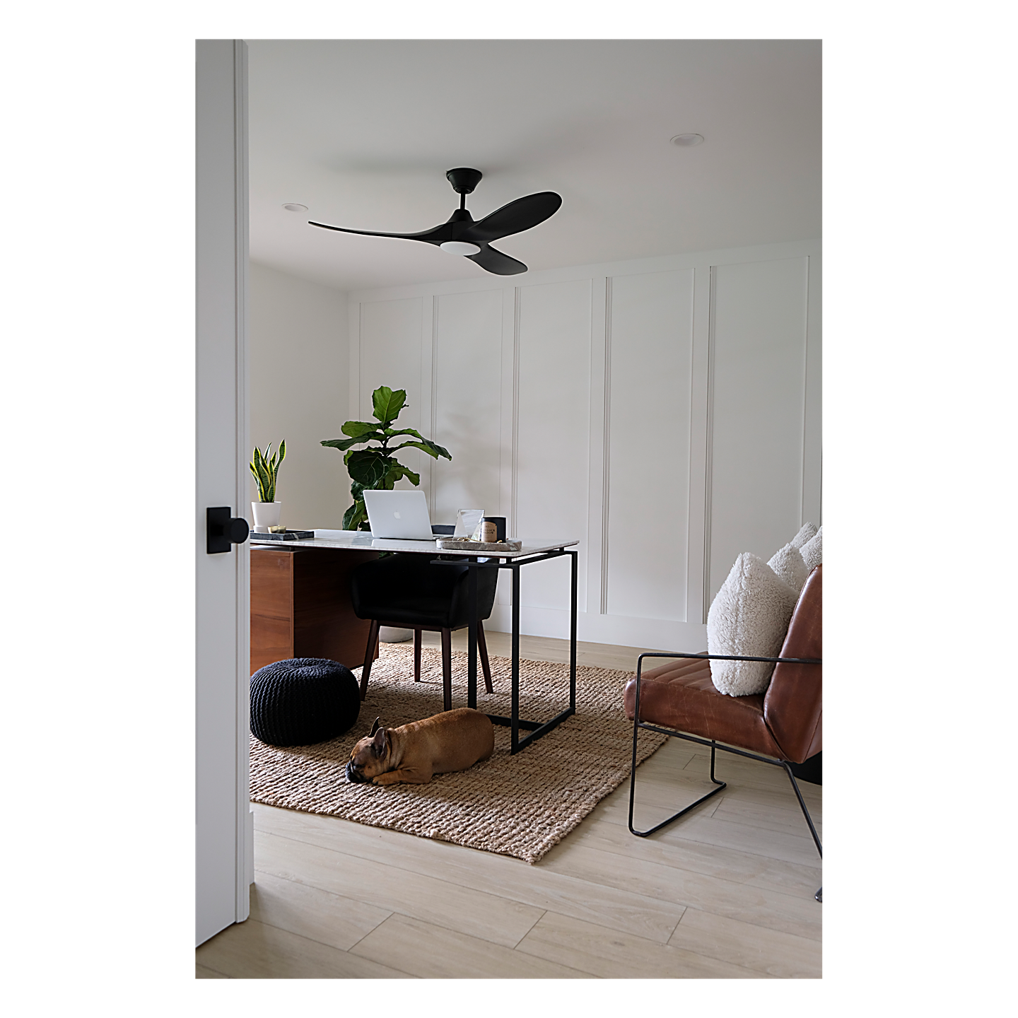 Maverick 52" LED Ceiling Fan