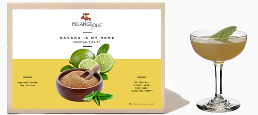 Mélange Jolie Havana is My Home Cocktail SipKit™ (Case of Six) | Contains No Alcohol | Barware & Accessories | Under $100 | Kitchen + Metal