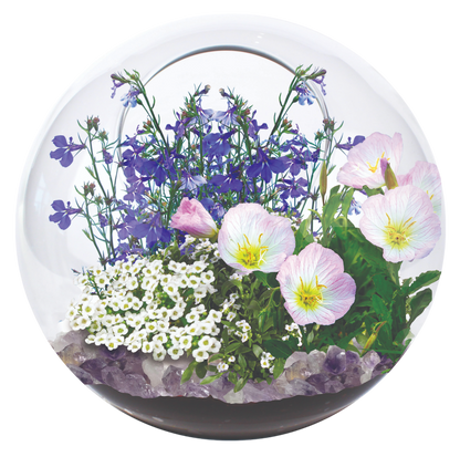 Fairy Triad Glass Terrarium Seed Starting Kit