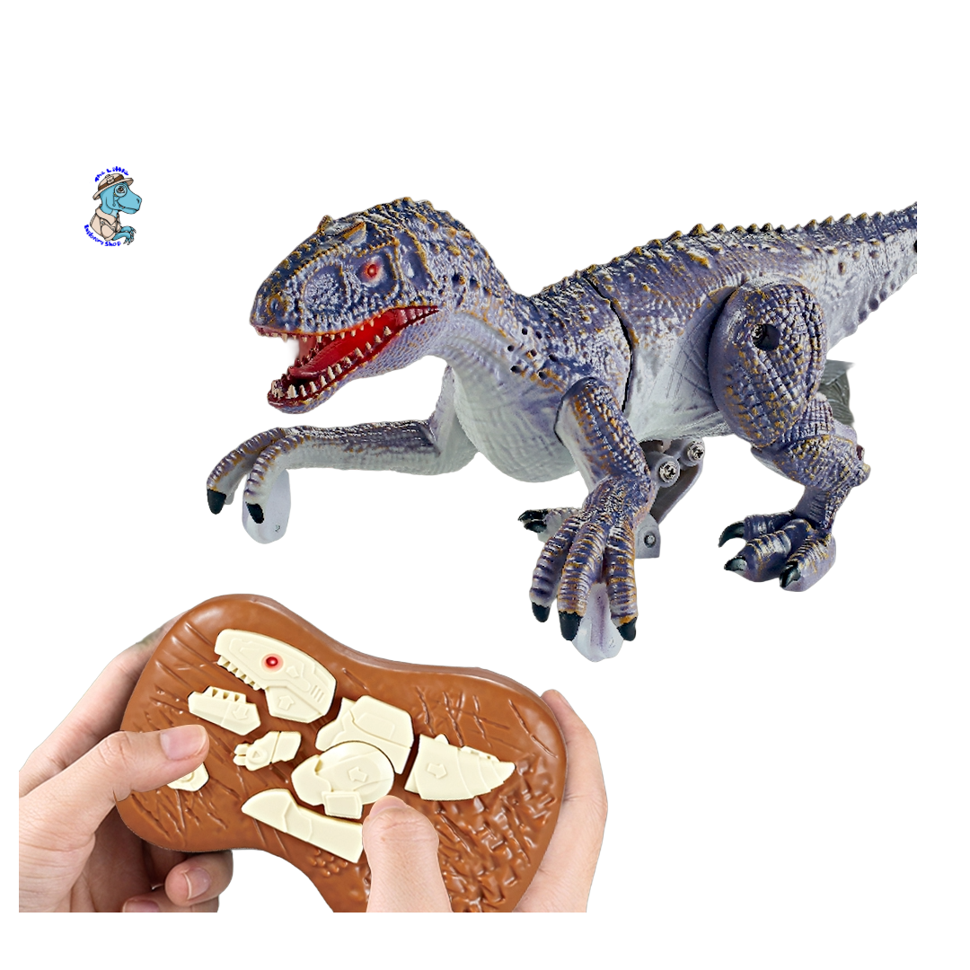 Mini  Remote Control Raptor