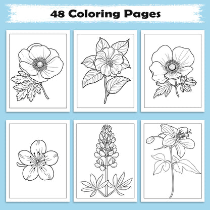 Petal Grace Coloring Pages – 48 Pages – Minimalist Flowers, Clean Line Art – For Adults