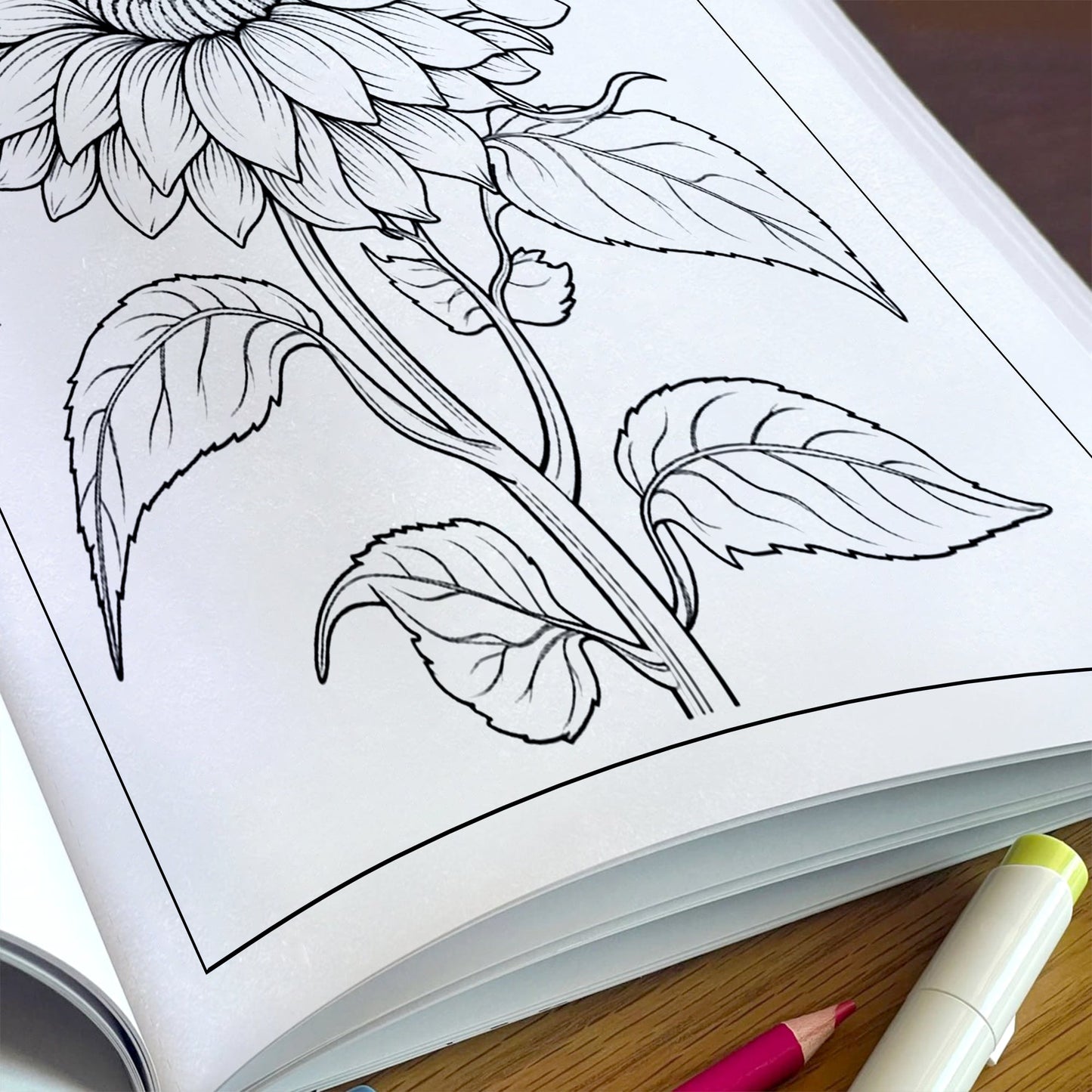 Sunflower Bloom Mandala Coloring Pages – 48 Floral Line Art for Adults