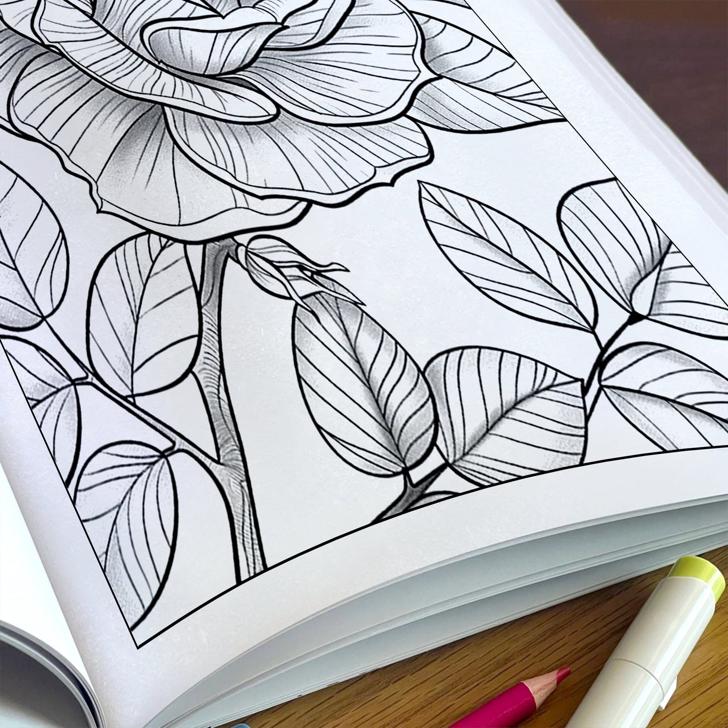 Blossom Dreams Coloring Pages – 48 Pages – Floral Wonderland Art, Beautiful Flowers, Nature Designs – For Adults