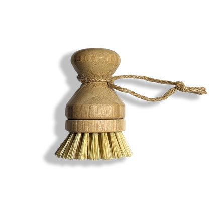 Modular Palm Pot Scrub Brush
