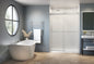 Gemini Plus In-line Shower Door