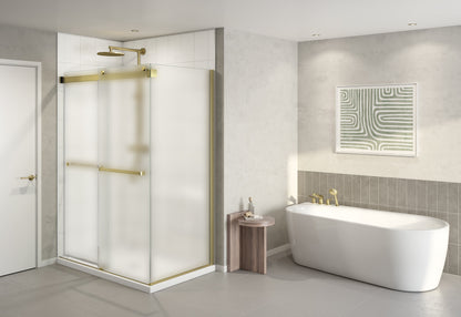 Gemini Plus 2 sided Shower Door