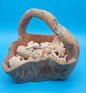 Wooden Basket with Seashells – Natural Coastal Décor Collectible Display Piece