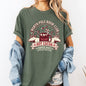 North Pole Book Club, Reading, Christmas, Santa, Reindeer, Winter, Xmas Tshirt Comfort Colors T-Shirt