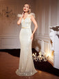 Summer Sequin Model Ladies Cocktail Elegant V Neck Long Dinner Fishtail Dress