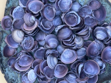 Bulk Mini Purple Clam Shells – 2oz & 4oz Bags for DIY Crafts & Wedding Decor