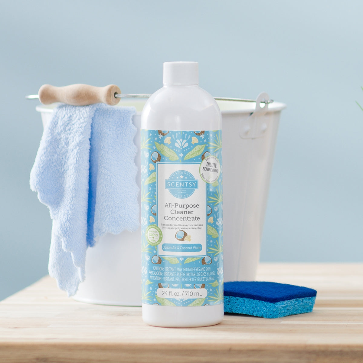 Ocean Air & Coconut Water – Home Fragrance