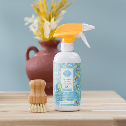 Ocean Air & Coconut Water – Home Fragrance