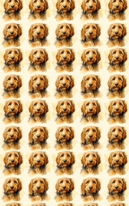 Shaggy Hound Delight