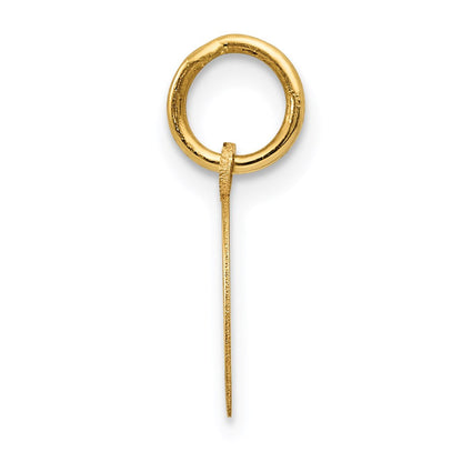 14k Yellow Gold Horseshoe Charm in Polished