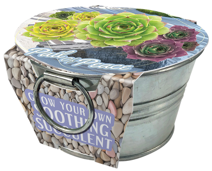 Flowering Tin Garden Variety Pack - 1 Each of 3 Varieties