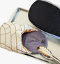 Conchas Slippers