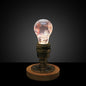 EP LIGHT - Pink Hydrangea