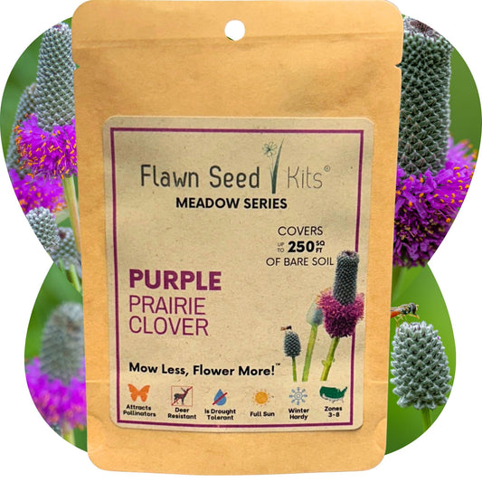 Purple Prairie Clover Seed