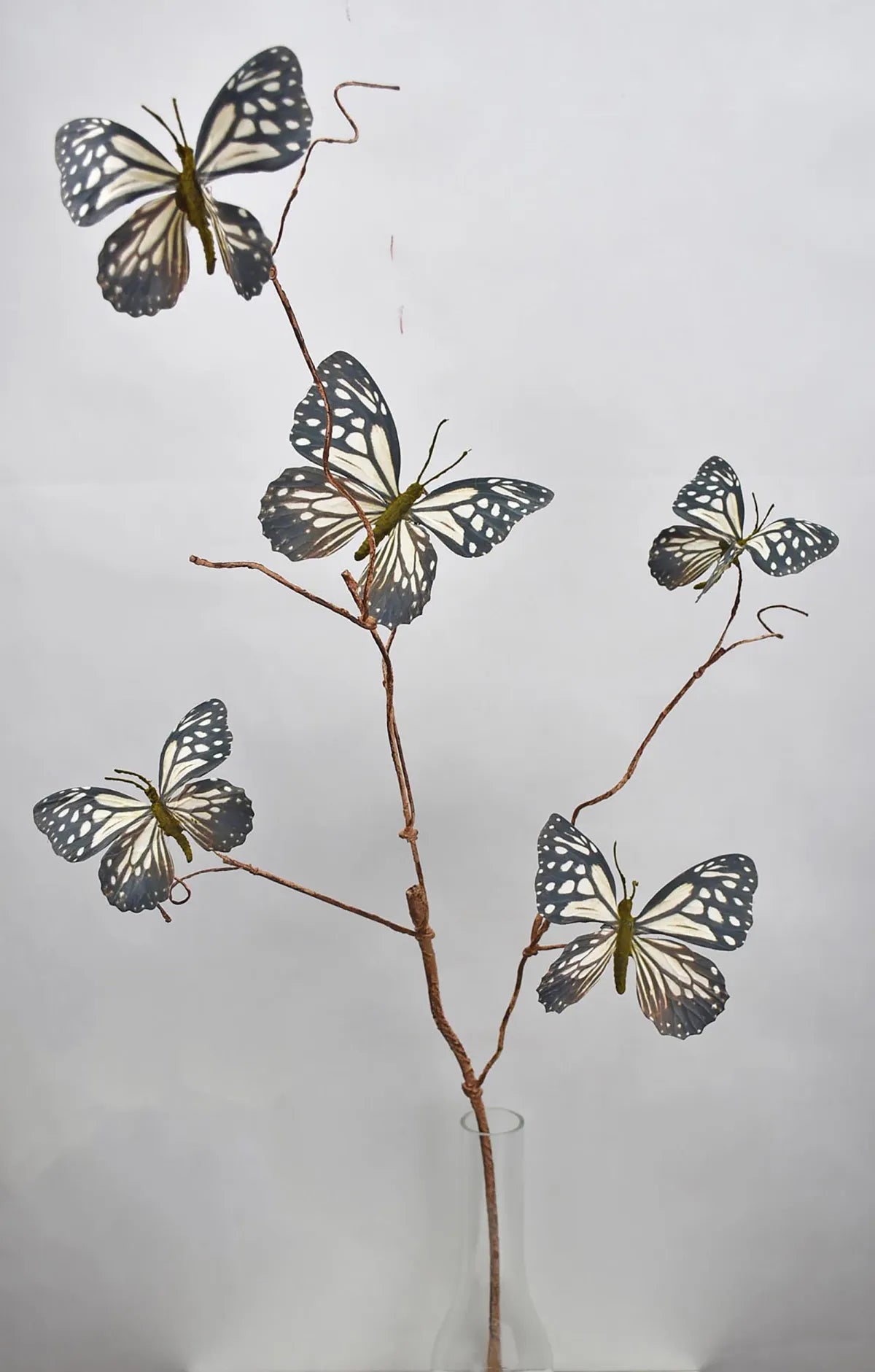 37" Butterfly Spray Black/White