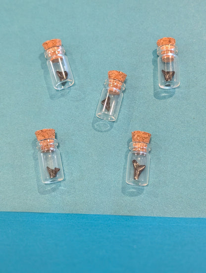 Mini Fossilized Shark Tooth in Glass Bottle with Cork