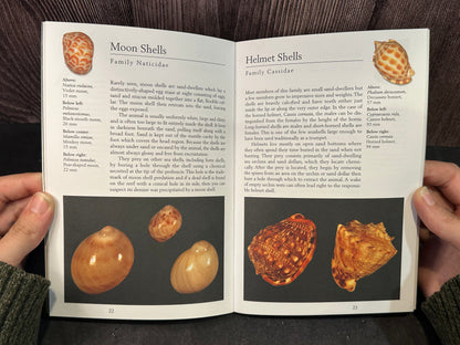Handy Pocket Guide to Tropical Seashells (Pre-owned Paperback)