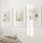 Watercolor Set of 3. Colorful Wildflower Prints