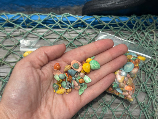 Bulk Pastel Dyed Craft Shells – Retro Color Mixture for DIY & Wedding Decor