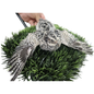 Fertile Quail Eggs – Choose Your Variety