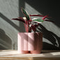 Pillar Planter