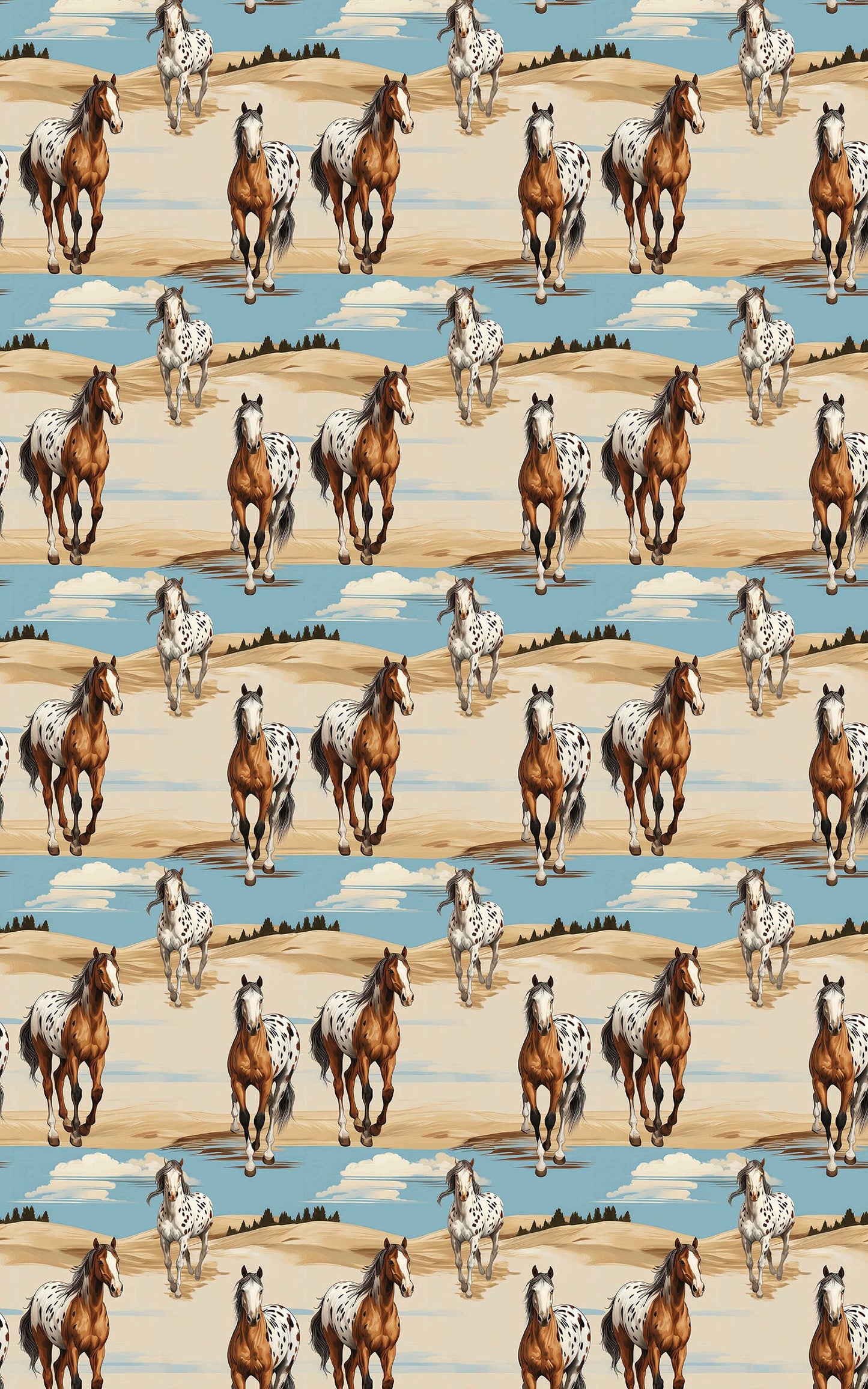 Appaloosa Run