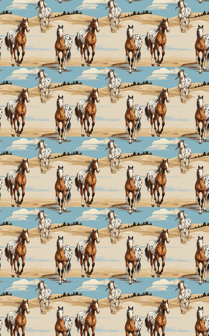 Appaloosa Run