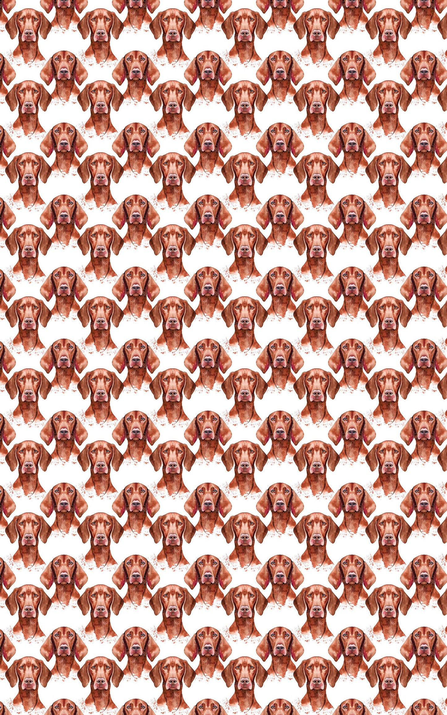 Velvet Vizsla