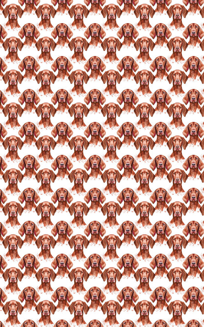 Velvet Vizsla