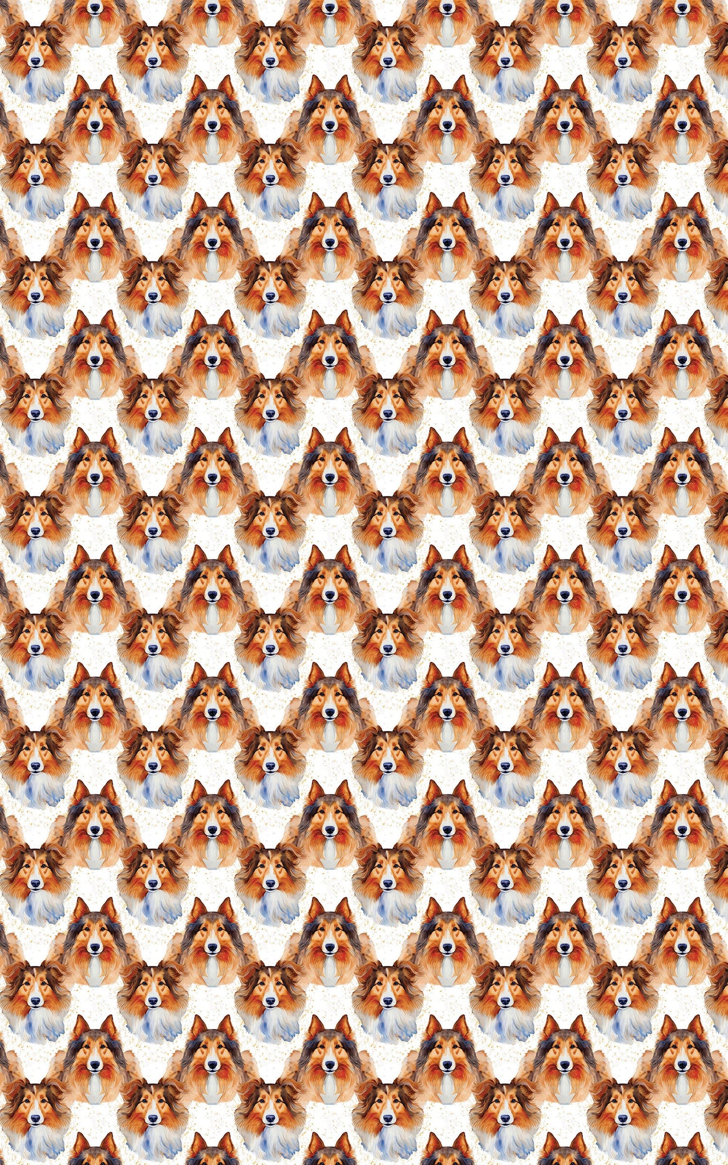 Collie Grace