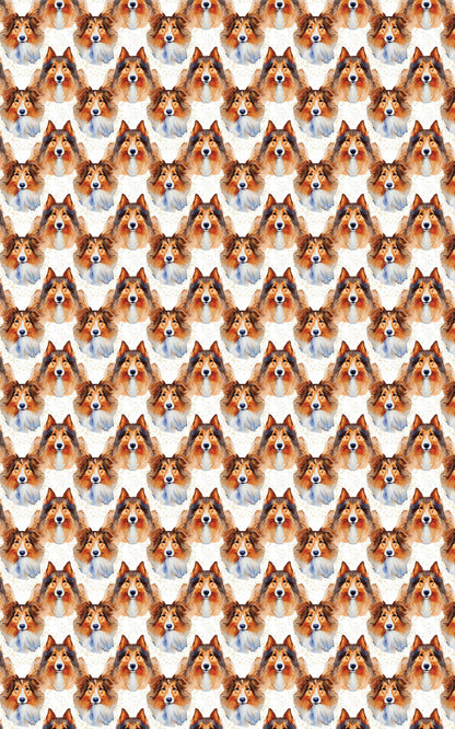 Collie Grace