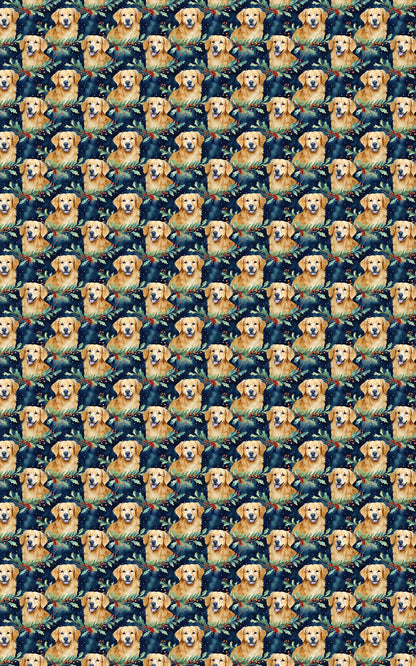 Chilly Golden