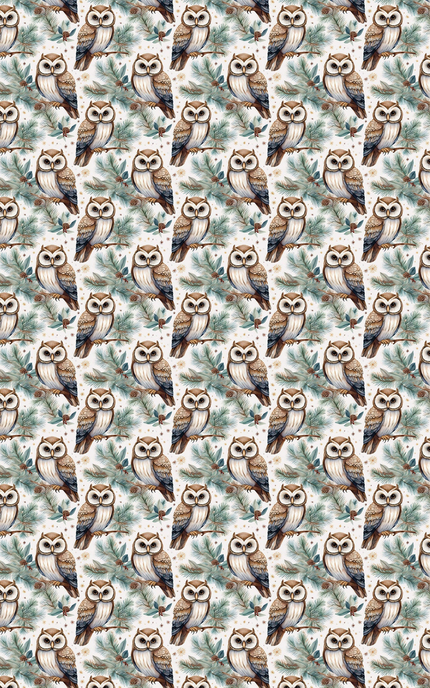 Winter Hoots