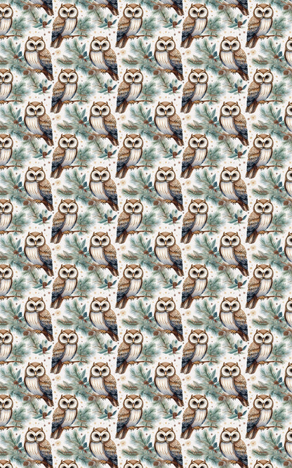 Winter Hoots
