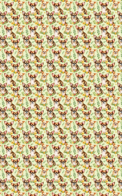 Chihuahua Charm