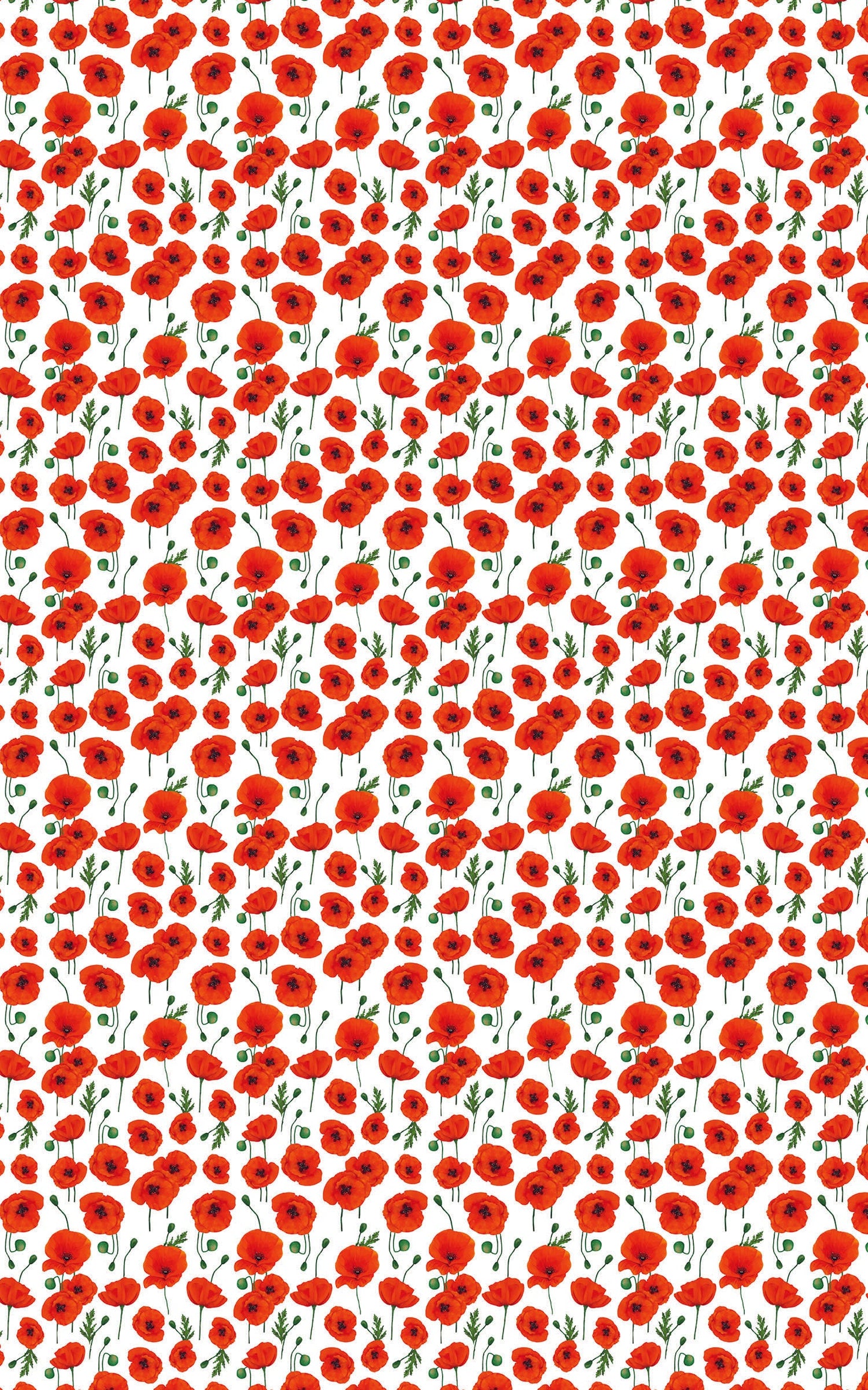 Summer Flowers II White