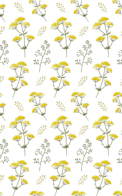 Yellow Spring Flowers