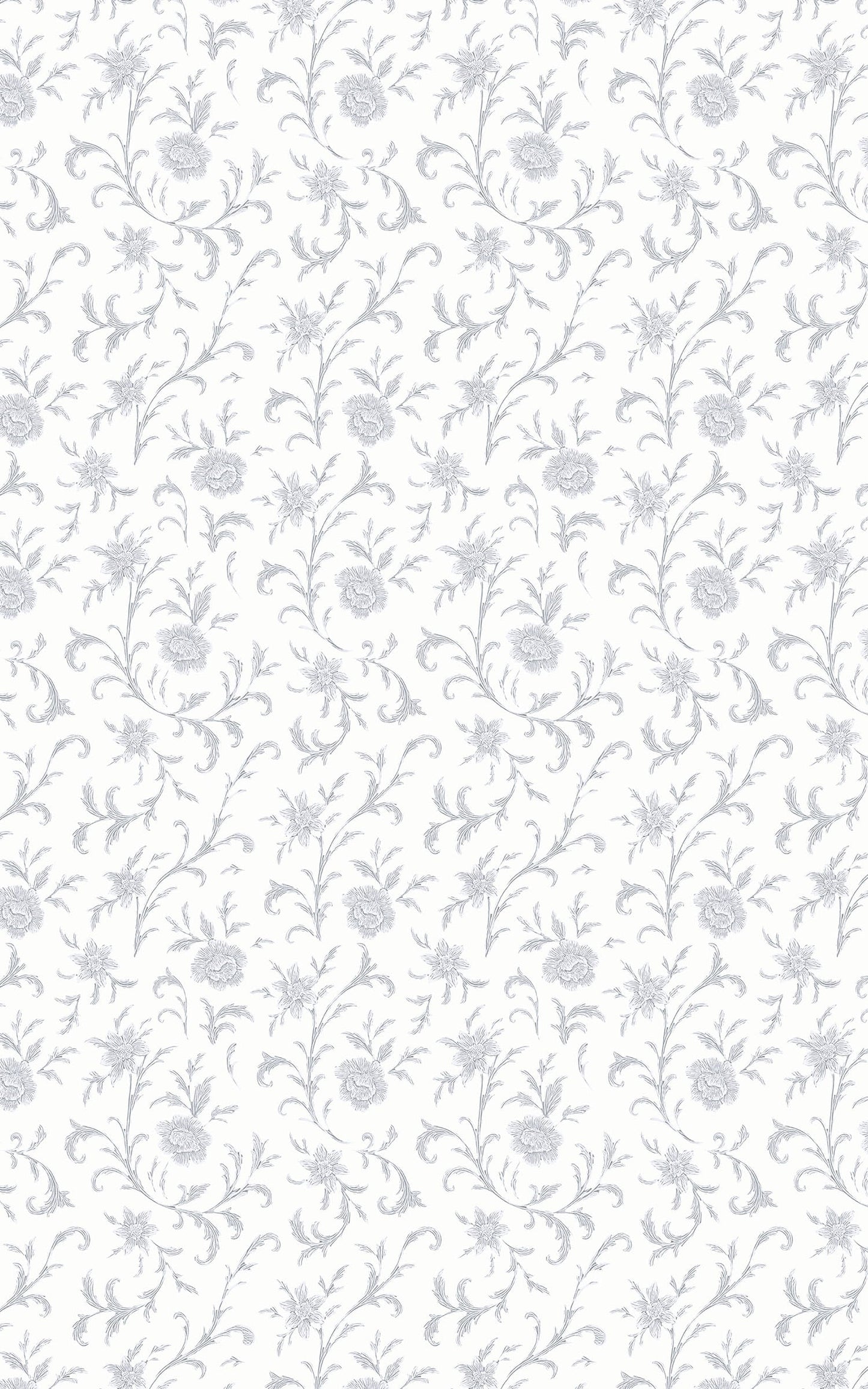 Baroque Blanche