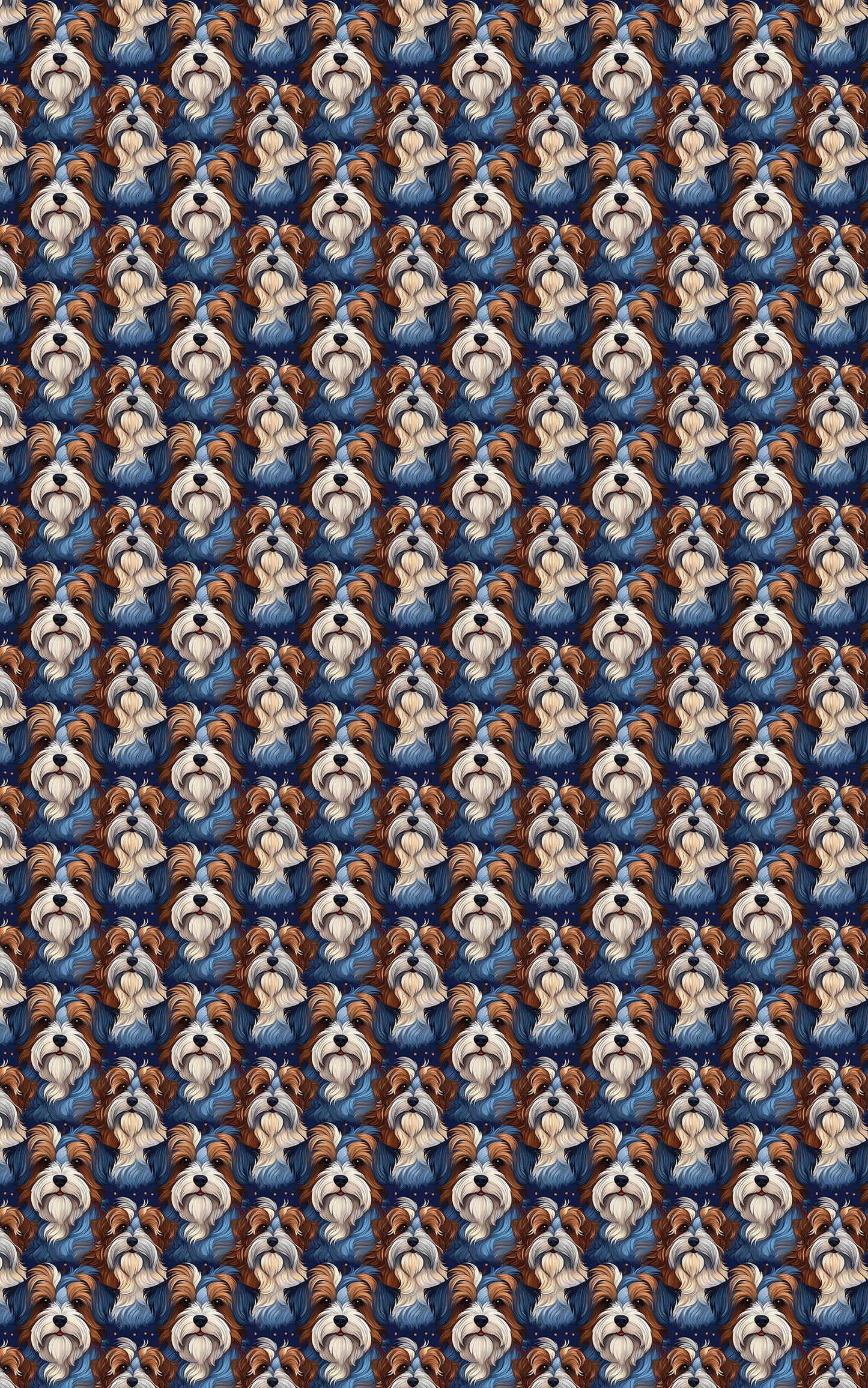 Biewer Terrier Grace
