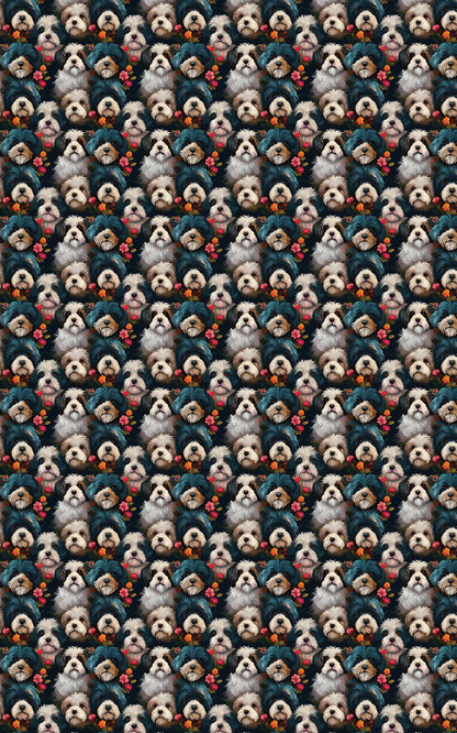 Bichon Frisé Elegance