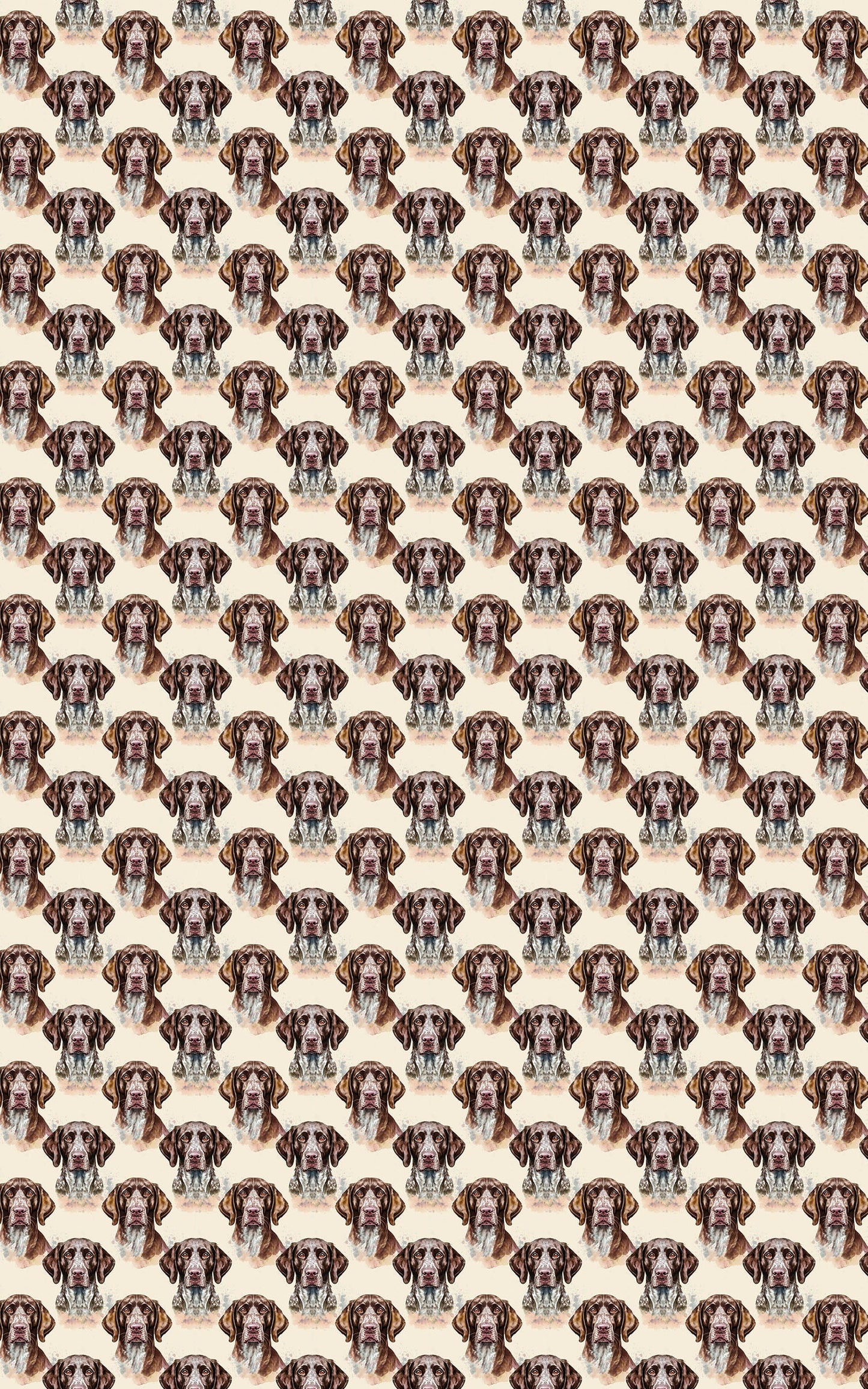The Stylish Pointer