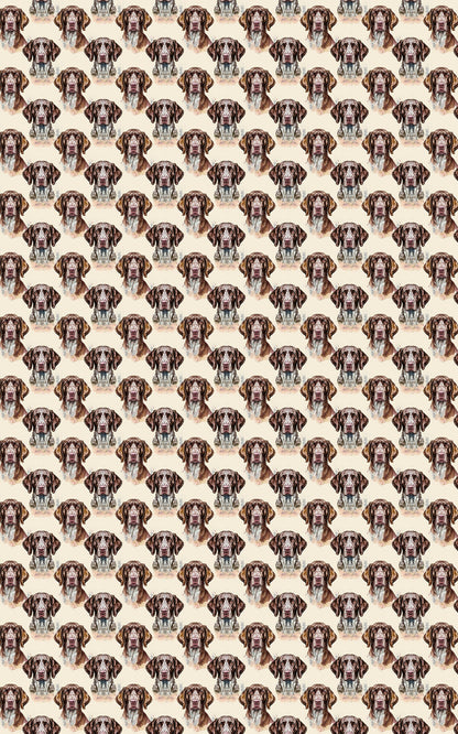 The Stylish Pointer
