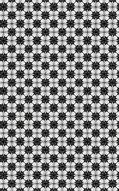 Shape Symphony